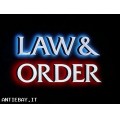 Law & order-i due volti della giustizia