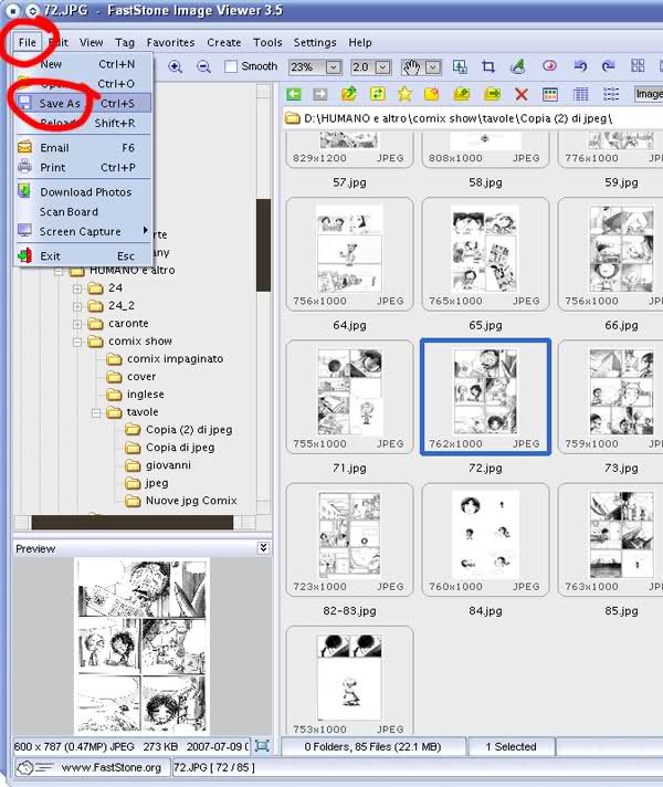ridimensionare una immagine con FastStone Image Viewer - 2